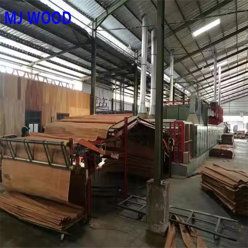 mesh conveyor belt dryer