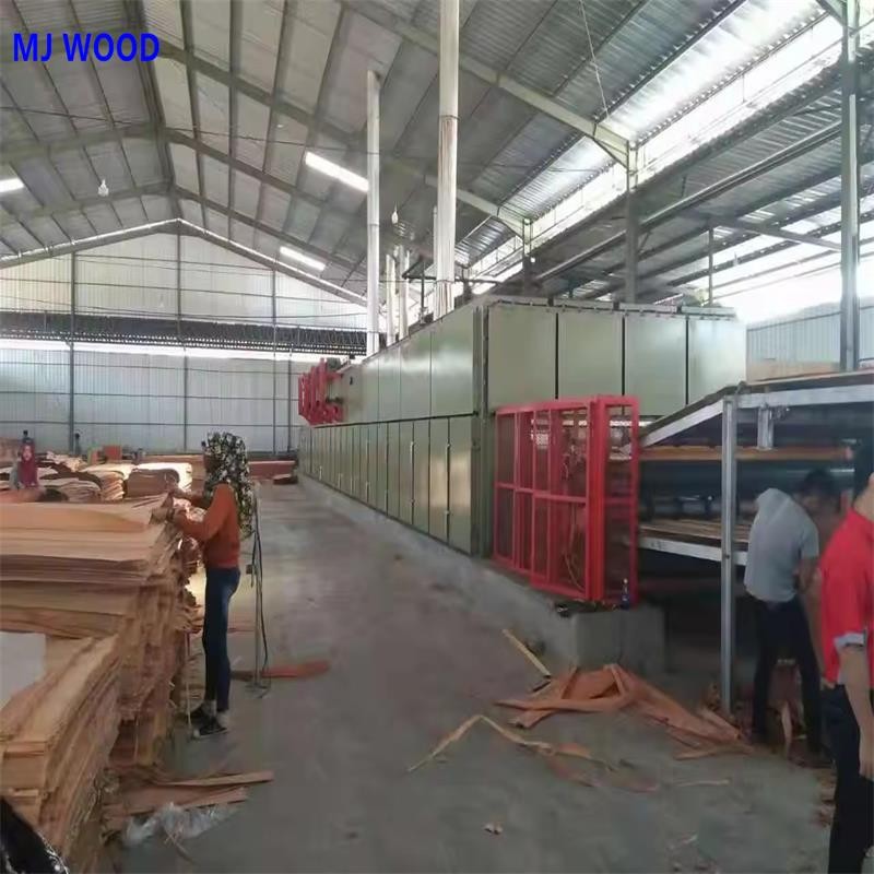 Veneer Dryer for Plywood