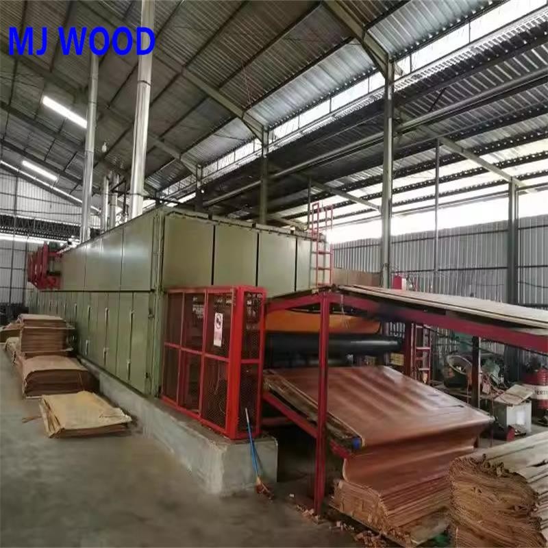Plywood Veneer Dryer
