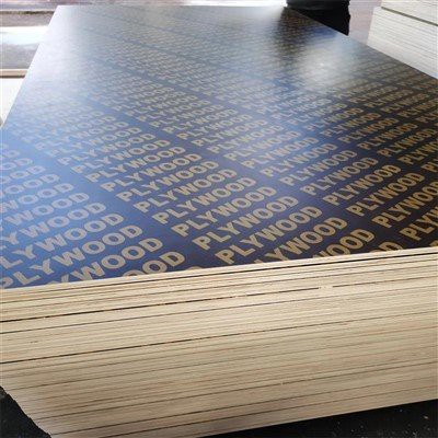 Birch Core Plywood