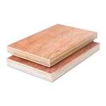 Phenolic Faced Birch Plywood